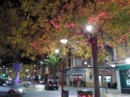 IMG_20211203_185333